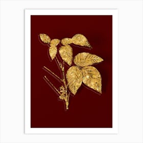 Vintage Eastern Poison Ivy Botanical in Gold on Red n.0323 Art Print