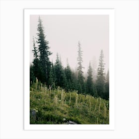 Foggy Green Forest Art Print