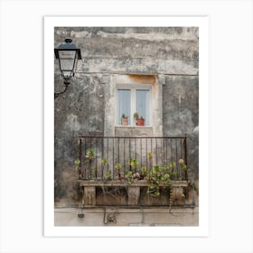 Balcony With Potted Plants, Italy Art Print