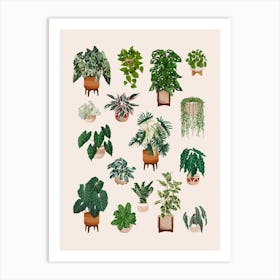 Plants Collection 1 Art Print