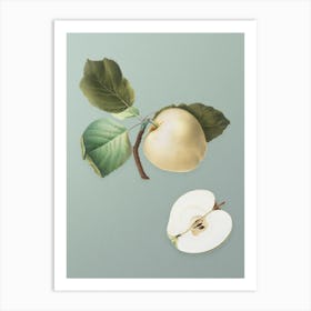 Vintage Astracan Apple Botanical Art on Mint Green n.0698 Art Print
