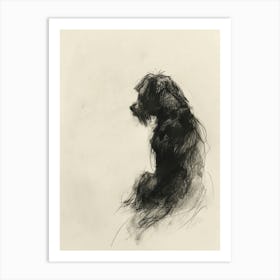 Lowchen Dog Charcoal Line 3 Art Print