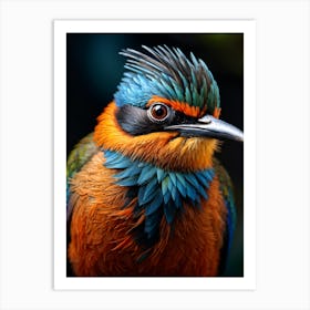 Kingfisher Bird Art Print