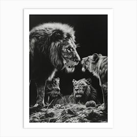 Barbary Lion Charcoal Drawing Interaction 1 Art Print
