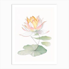 Amur Lotus Pencil Illustration 3 Art Print