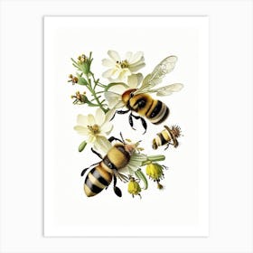 Forager Bees 1 Vintage Art Print
