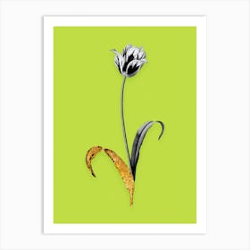 Vintage Didiers Tulip Black and White Gold Leaf Floral Art on Chartreuse n.0574 Art Print