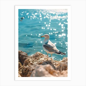 Seagull On The Rocks Art Print