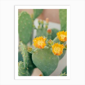 New Mexico Cactus IV on Film Art Print