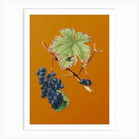 Vintage Barbera Grape Botanical on Sunset Orange n.0595 Art Print