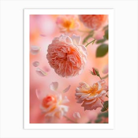 English Roses Painting Rose Petals 1 Art Print