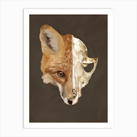 Fox Skull Art Print