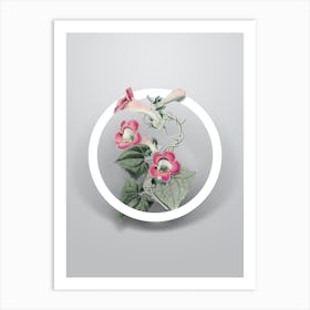 Vintage Lophospermum Flower Minimalist Flower Geometric Circle On Soft Gray Art Print