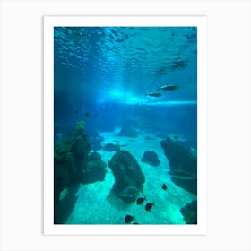 Aquarium With Fishes Art Print