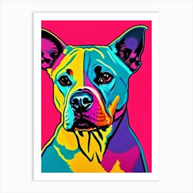 American Staffordshire Terrier Andy Warhol Style Dog Art Print