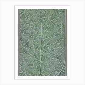 Burr Oak tree Vintage Botanical Art Print