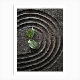 Zen Garden 17 Art Print