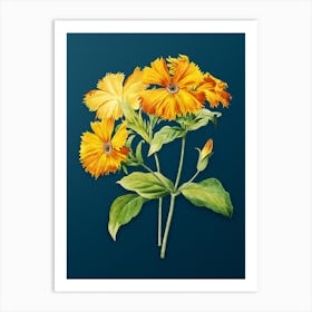 Vintage Lychnis Grandiflora Botanical Art on Teal Blue n.0218 Art Print