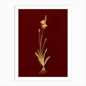 Vintage Mossel Bay Tritonia Botanical in Gold on Red n.0089 Art Print