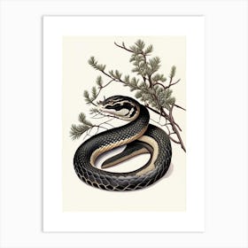 Black Pine Snake Vintage Art Print