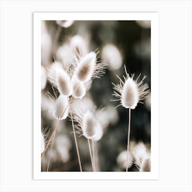 Bunny Tail Flowers Art Print