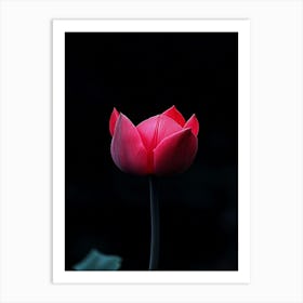 Lotus Flower 22 Art Print