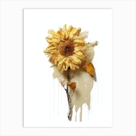 Sunflower 36 Art Print