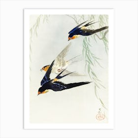 Three Birds In Full Flight, Ohara Koson Art Print