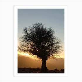 Sunset Over A Tree Art Print