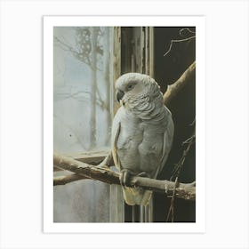 Cockatoo Art Print