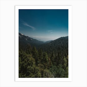 Sequoia National Park XI Art Print