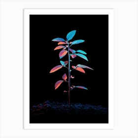 Plant Stock Videos & Royalty-Free Footage 1 Art Print