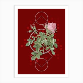 Vintage Dwarf Damask Rose Botanical with Geometric Line Motif and Dot Pattern Art Print