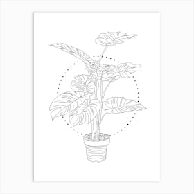 Monstera Botanical Line Drawing Art Print