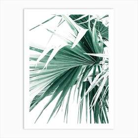 Palm Tree Leaves II Art Print