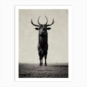 Bull With Horns 1 Art Print