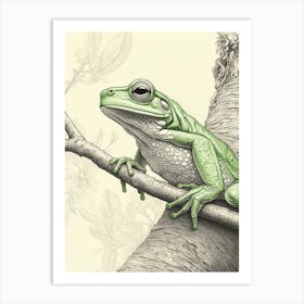 Green Tree Frog Vintage Botanical 1 Art Print