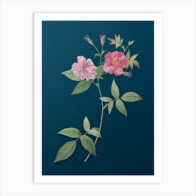 Vintage Hudson Rosehip Botanical Art on Teal Blue n.0135 Art Print