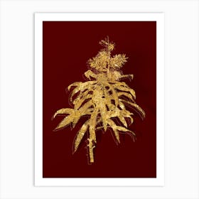 Vintage Pleomele Botanical in Gold on Red n.0204 Art Print