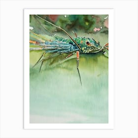 Spiny Lobster Storybook Watercolour Art Print