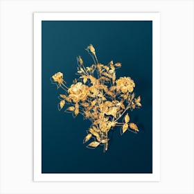 Vintage Dwarf Rosebush Botanical in Gold on Teal Blue Art Print