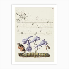 Scarlet Tiger Moth, Larkspur, Insect, And Caterpillar From Mira Calligraphiae Monumenta, Joris Hoefnagel Art Print