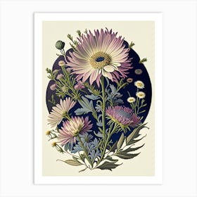 Asters Wildflower Vintage Botanical 1 Art Print