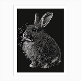 English Angora Blockprint Rabbit Illustration 2 Art Print