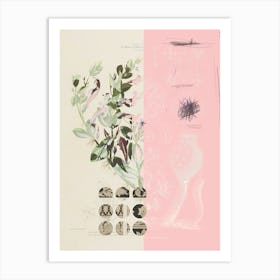 The First Plant · Mix It Up Sunday Art Print