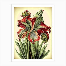 Amaryllis 2 Floral Botanical Vintage Poster Flower Art Print