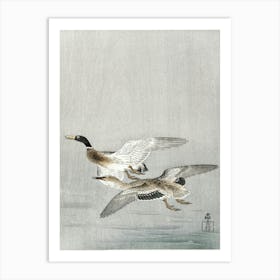 Couple Of Ducks (1900 1936), Ohara Koson Art Print