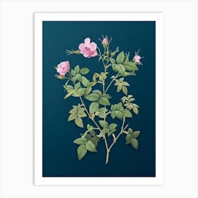 Vintage Pink Flowering Rosebush Botanical Art on Teal Blue n.0436 Art Print