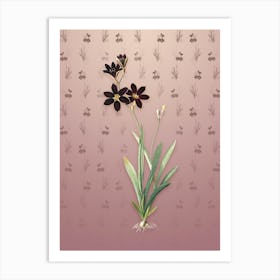 Vintage Ixia Grandiflora Botanical on Dusty Pink Pattern n.0965 Art Print