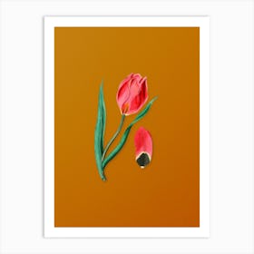 Vintage Sun's Eye Tulip Botanical on Sunset Orange n.0463 Art Print